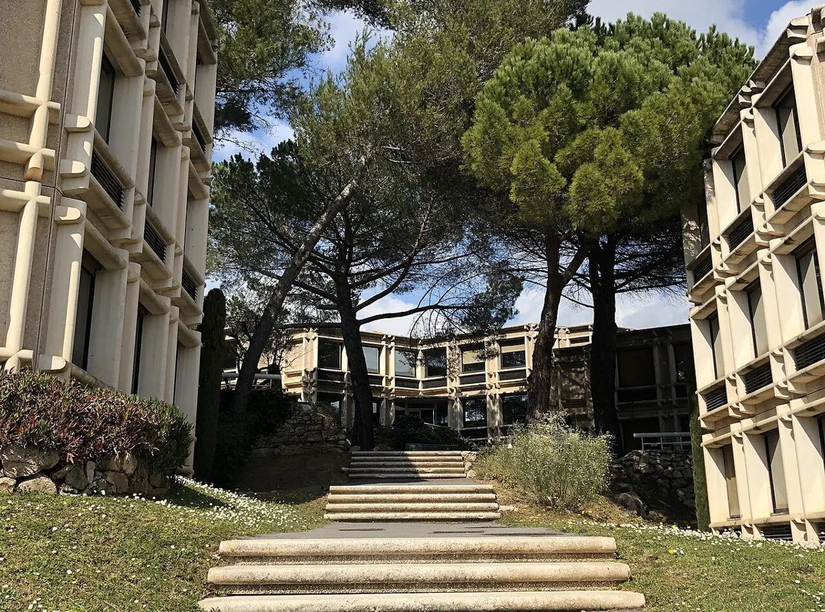 Bâtiments de recherche entourés de pins à Sophia Antipolis